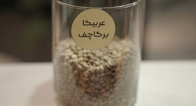 بنیامین فجر پارسیان