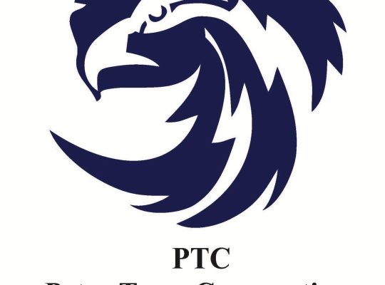 گروه همکاری های پترو کارا انرژی هیوا(پتروتیم)