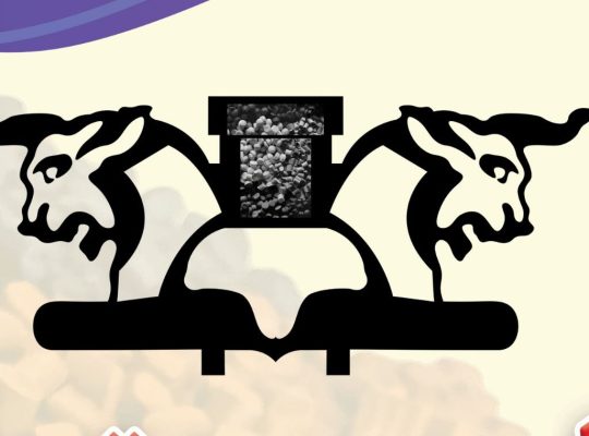 پارس آمیزه رنگی و سفید ( پارس مستر پچ)