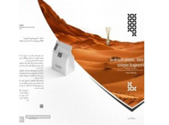 صفا رایحه آفرین توس