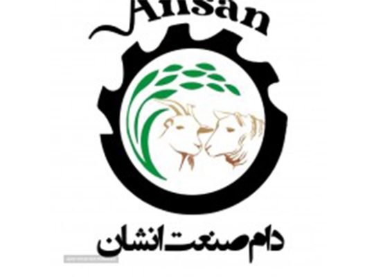 دام صنعت انشان