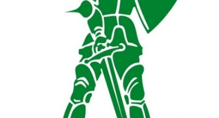 دنیا استیل طرح ایرانیان – داطا