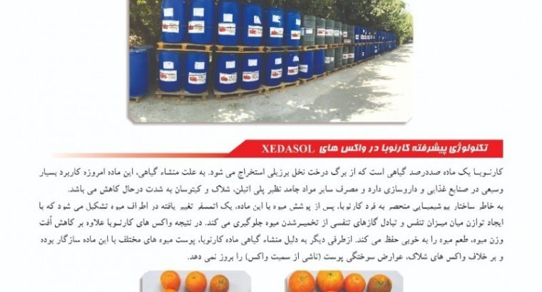 دانش میوه خاورمیانه