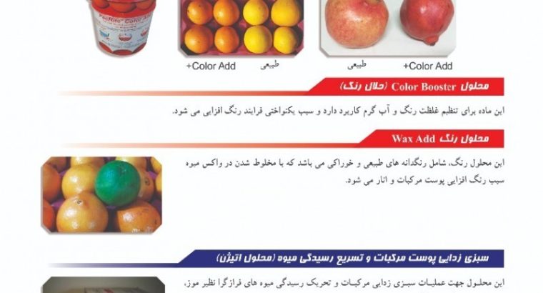 دانش میوه خاورمیانه