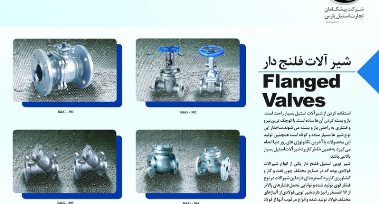 پیشگامان تجارت استیل پارس