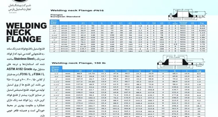 پیشگامان تجارت استیل پارس
