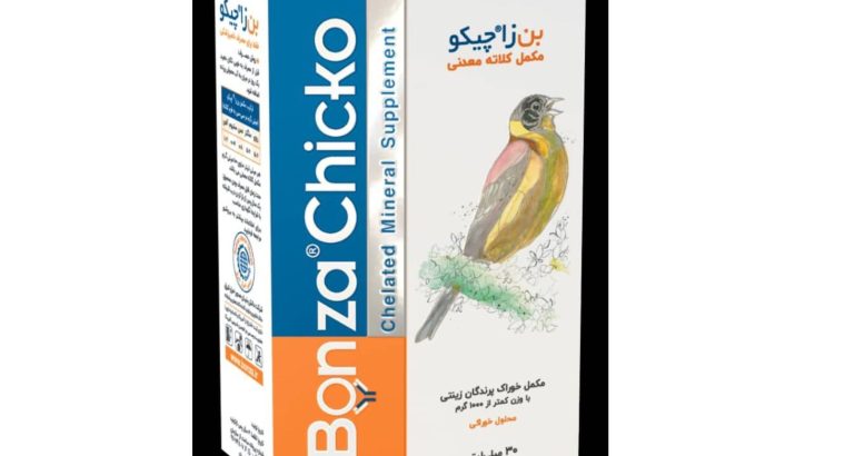 دانش بنیان صدور احرار شرق