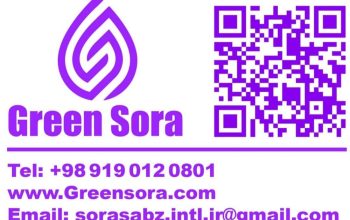 راهبرد بین المللی سبز سورا