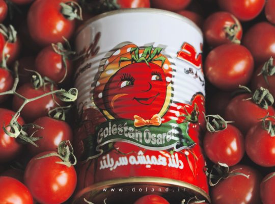 صنایع غذایی گلستان عصاره