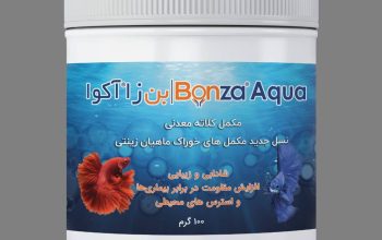 دانش بنیان صدور احرار شرق