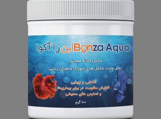 دانش بنیان صدور احرار شرق
