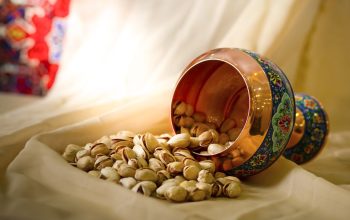 خشکبار ایلیا گستر سیرجان