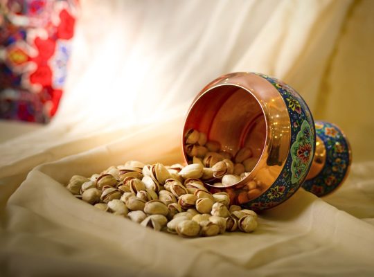 خشکبار ایلیا گستر سیرجان