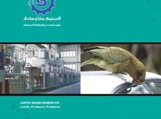 لاستیک سازان صادق