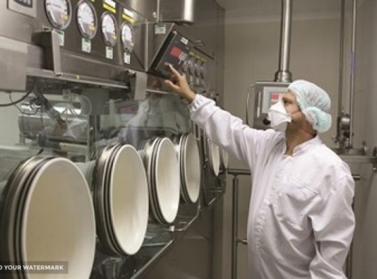 کیفیت گستر ریحان