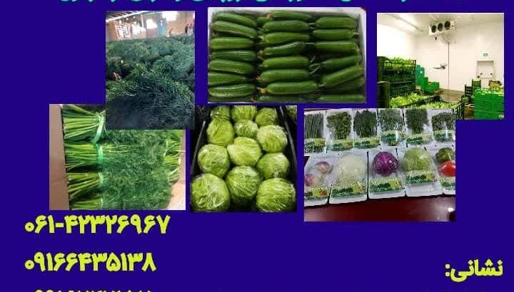 تعاونی و تولید روستایی سبزینه دزفول