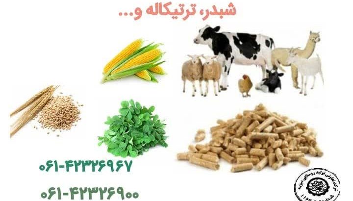 تعاونی و تولید روستایی سبزینه دزفول