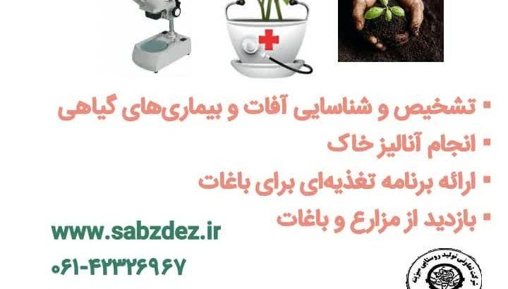 تعاونی و تولید روستایی سبزینه دزفول