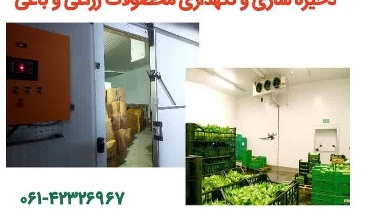 تعاونی و تولید روستایی سبزینه دزفول
