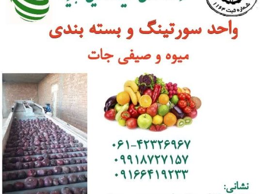تعاونی و تولید روستایی سبزینه دزفول