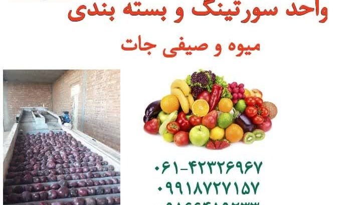 تعاونی و تولید روستایی سبزینه دزفول