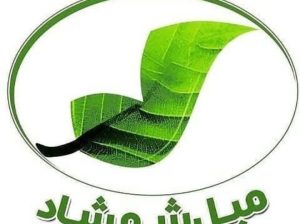 مبل شمشاد