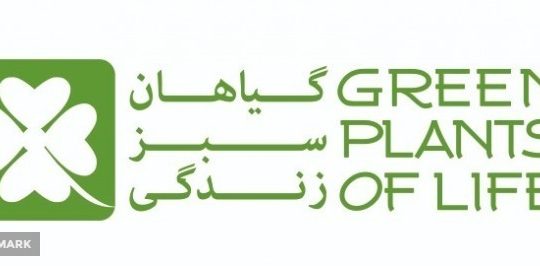 گیاهان سبز زندگی