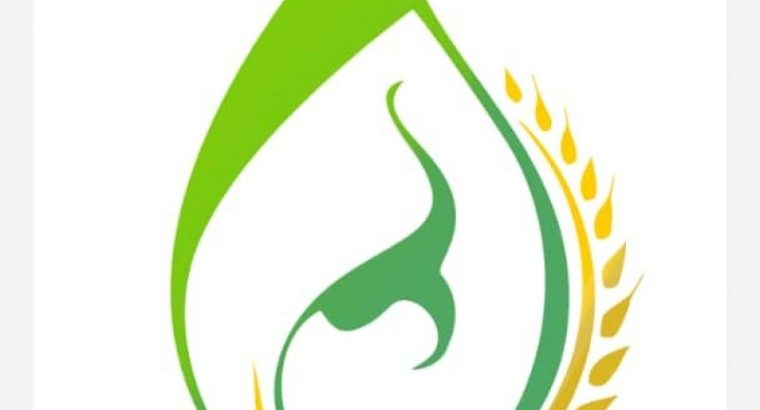 آرد سرو سپهر البرز
