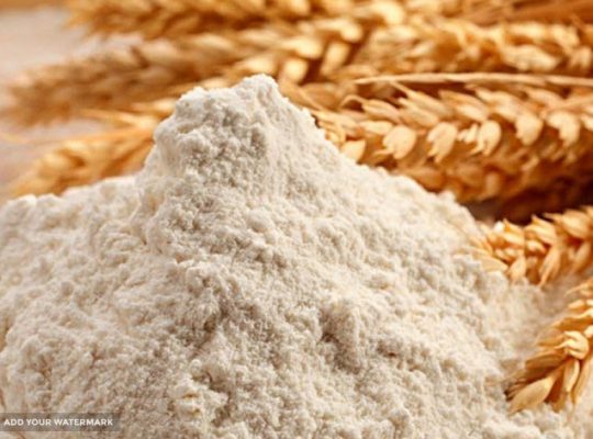 آرد سرو سپهر البرز