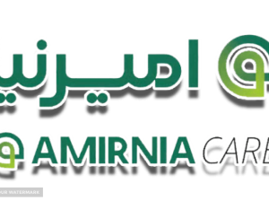 تولیدی صنعتی امیرنیا