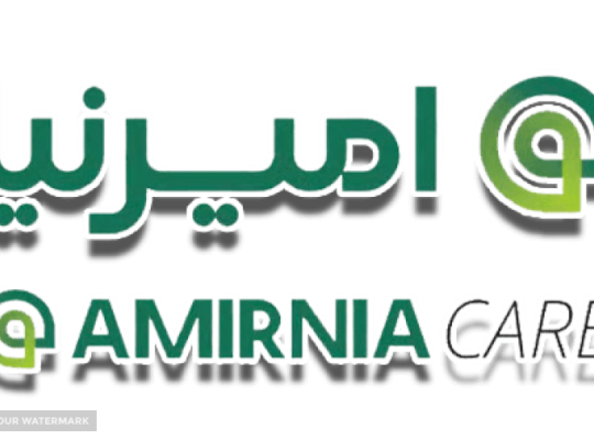 تولیدی صنعتی امیرنیا