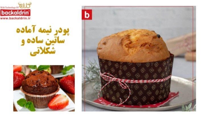 آردین نان پارسیان