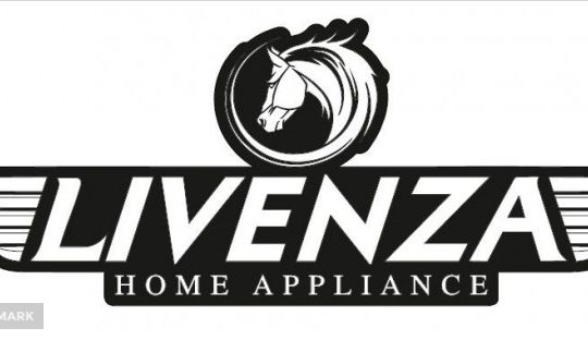 بازرگانی تجارت بین الملل علوی امین(لایونزا)