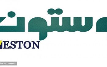 وستون