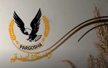 آرد ستاره امید قم