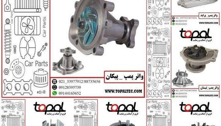توپال تک پویا