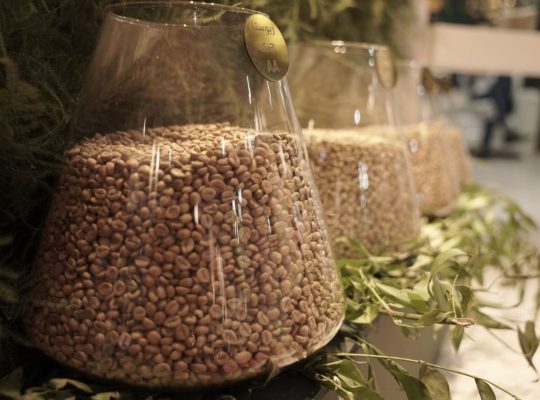 بنیامین فجر پارسیان