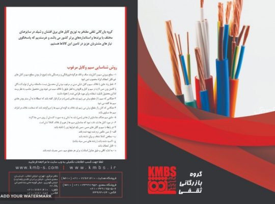 گروه تولیدی بازرگانی ساتراپ ثقفی