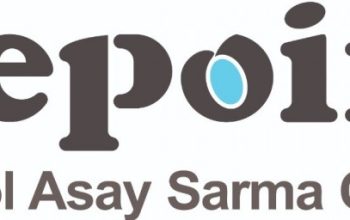 گل آسای سرما(دی پوینت)