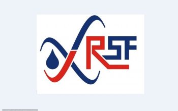 رادین صنعت فراز پارس