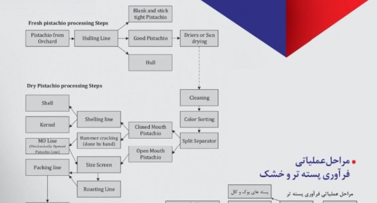 صنایع ممتازان کرمان