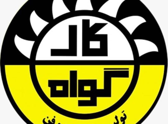 گروه تولیدی کارگواه فن