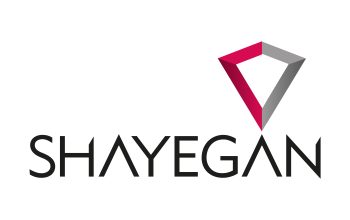 شایگان داده الکتریک پویش