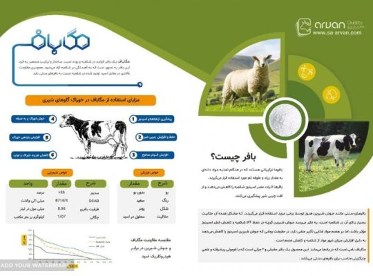 سپاهان اندیشه سازان آرون