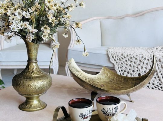 ژیوا گالری