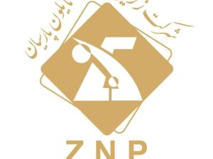 زرین نایلون پارسیان