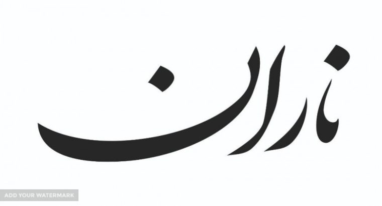 تولیدی وصنایع بهداشتی پاک فیروزه