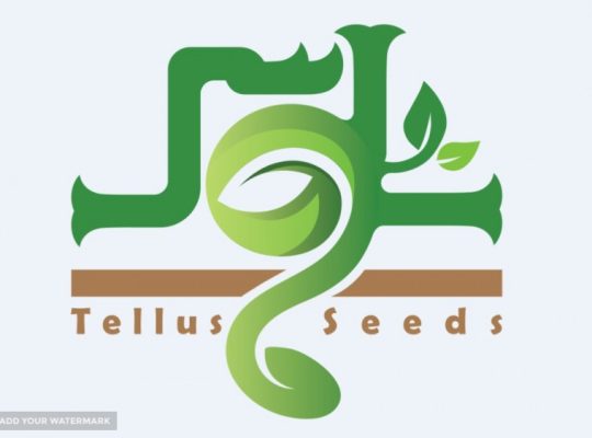 تعاونی کشت گستر 87 مرودشت