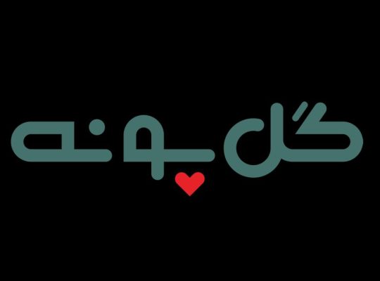 گل پونه شیراز کهن