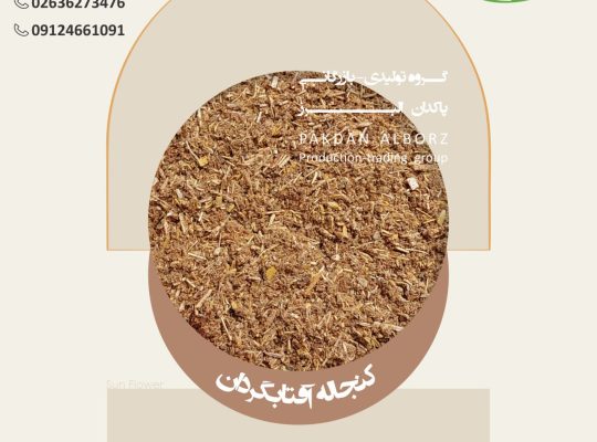 گروه تولیدی بازرگانی پاکدان البرز